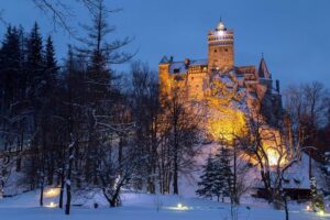Bear Sanctuary and Bran Castle with a Professional Licensed Guide—Day Trip - Meeting at Piața Sfatului and riding in comfort