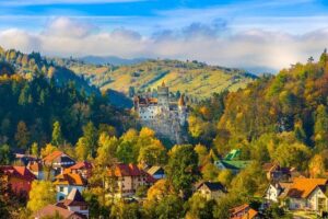 Bear Sanctuary, Bran (Dracula) Castle, Peles Castle From Brasov - Stop 1: Libearty Bear Sanctuary Zărnești and how to visit with the right mindset