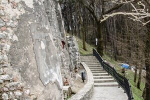 Bran Castle, Bear Sanctuary, and Rasnov Fortress Half Day Tour - Stop 1: LiBEARty Bear Sanctuary near Zărnești