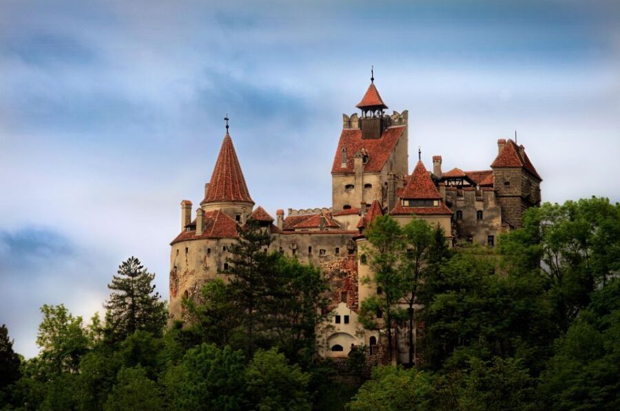 Brasov: Bear Sanctuary, Dracula Castle, and Râşnov Fortress - Why this Brasov day trip works better than DIY transport