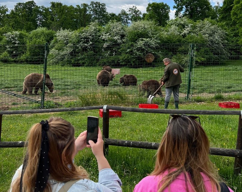 Brasov: Bran Castle, Bear Sanctuary, Rasnov (Peles Optional) - Key things to know before you go