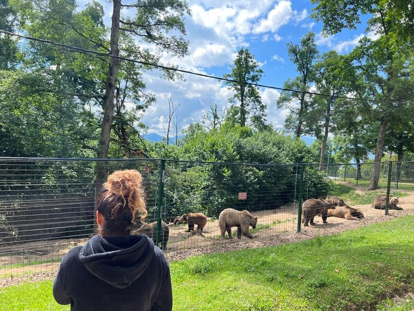 Brasov: Bran Castle, Bear Sanctuary, Rasnov (Peles Optional) - Start in Brașov, then go straight for the highlights