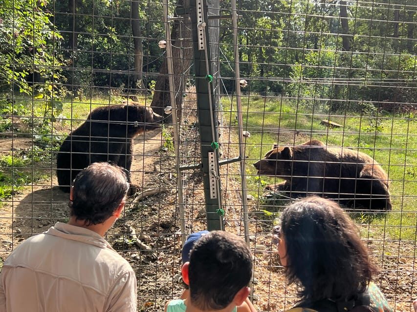 Brasov: Bran Castle, Bear Sanctuary, Rasnov (Peles Optional) - Who this tour suits best (and who should skip it)