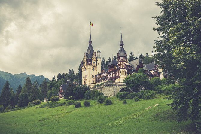 DRACULA CITY BREAK Bran Castle, Peles Castle Sinaia, Brasov City - Optional Libearty Bear Sanctuary in Zărnești: humanely timed, not mandatory
