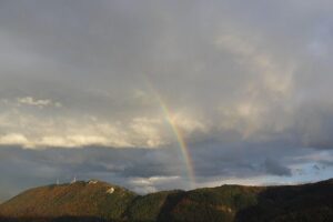 From Brasov: Discover Bran Castle and Râșnov Fortress - Getting there: pickup, small-group pace, and timing that matters