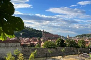 PRIVATE day-trip - Peles Castle, Bran Castle, Brasov - Peles Castle guided tour: King Carol’s masterpiece and why preservation matters