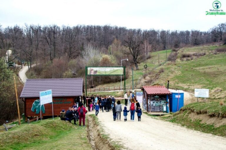 Visit Bear Sanctuary and Bran Castle from Brasov - LiBEARty Bear Sanctuary: More Than a Photo Stop